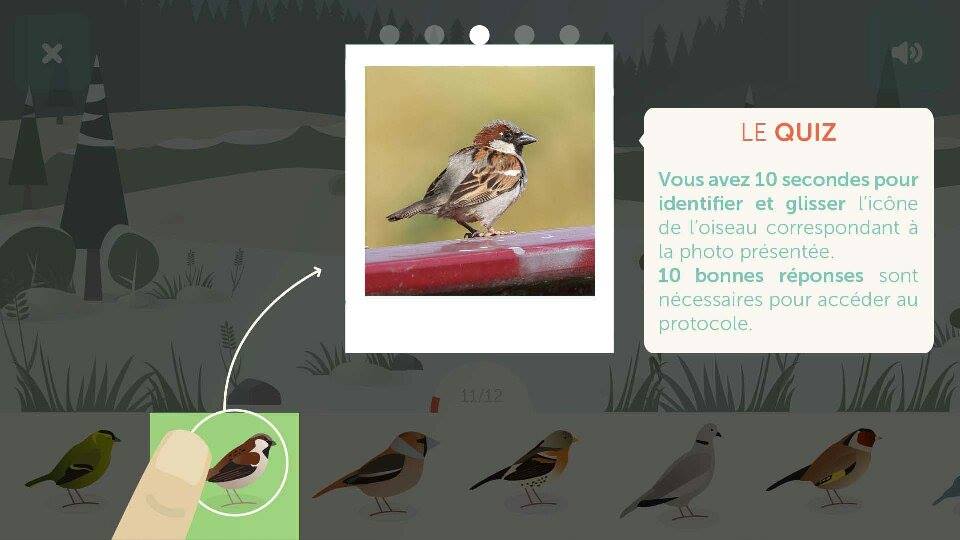 Capture écran application BirdLab