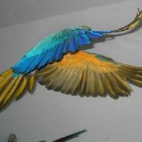 flying_blue_and_gold_macaw_th