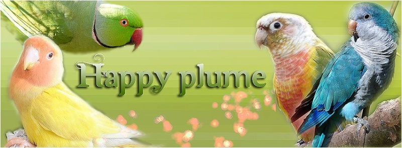 happy plume partenaire