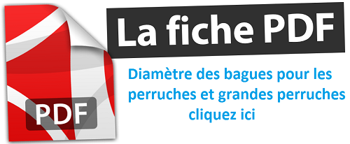 baguage des oiseaux Diamètres bagues pour perruches et grandes perruches