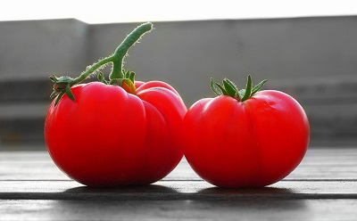 Tomate aliments toxiques