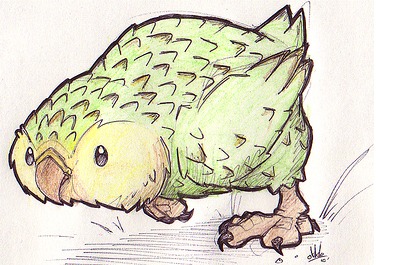 Dessin d'un perroquet kakapo en train de courir