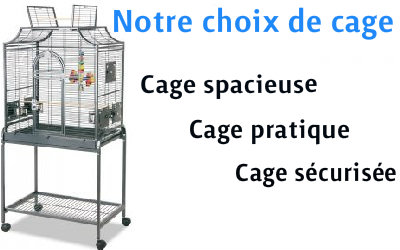 Cage: Notre sélection pour les perruches