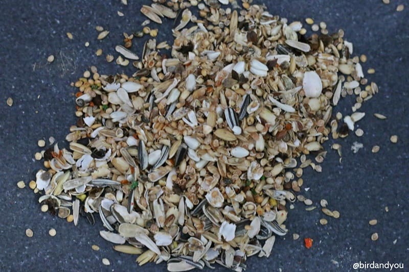 Mélange de graines pour perruche décortiqués

