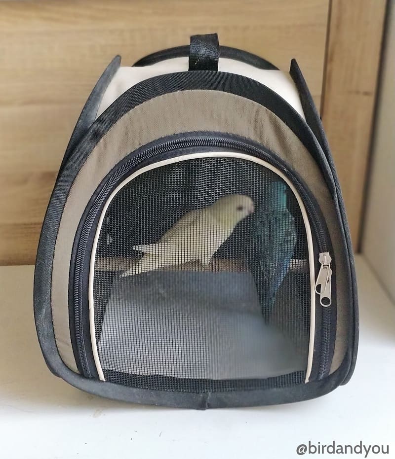 sac de transport pour oiseaux