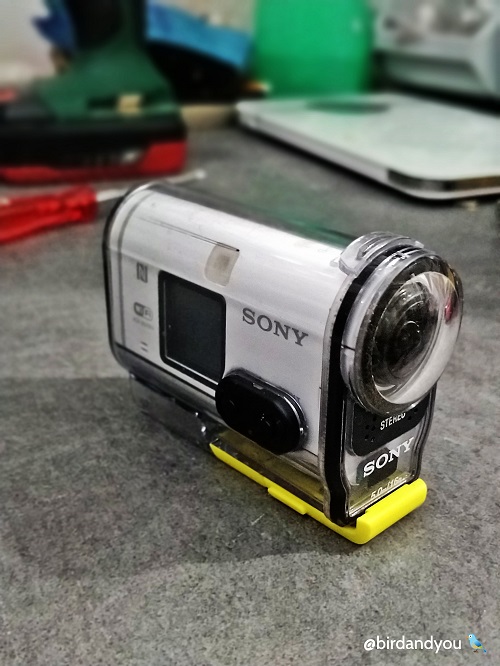 Sony action cam birdandyou