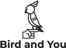 Logo Bird and You