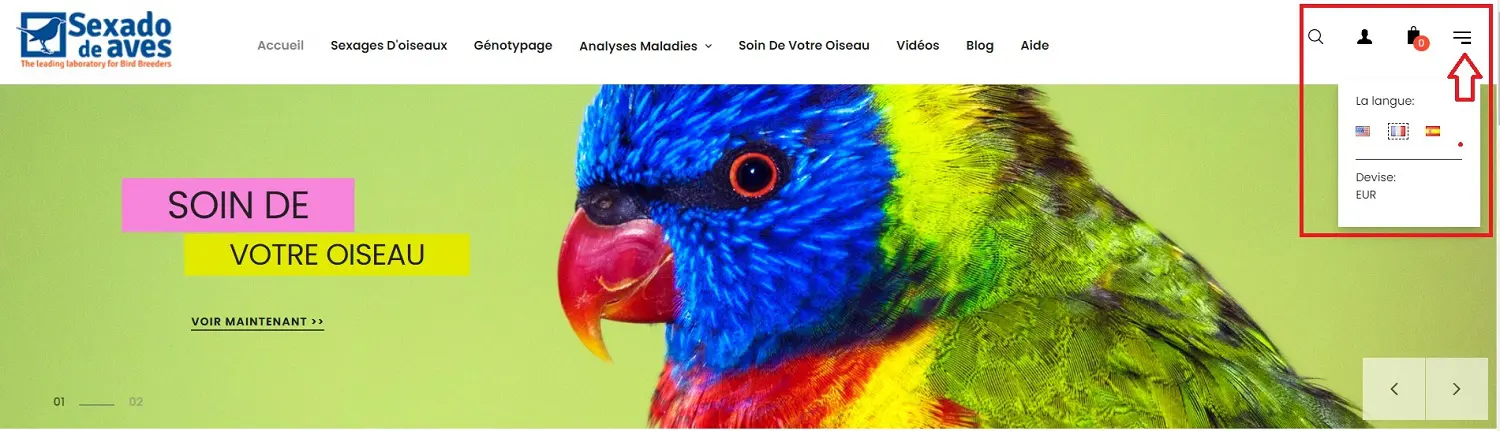 Choix langue chez sexado de aves