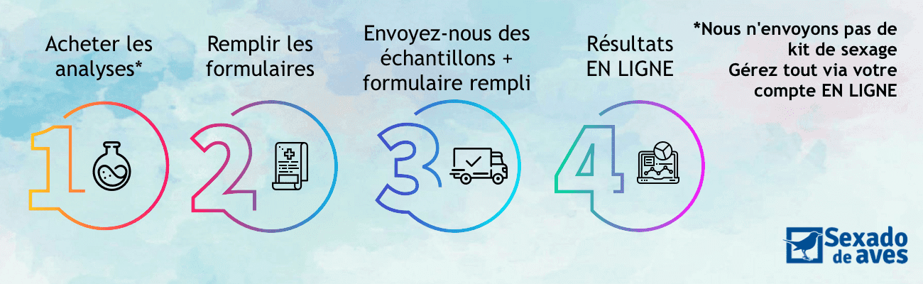 sexage adn oiseaux pas cher Sexado de aves