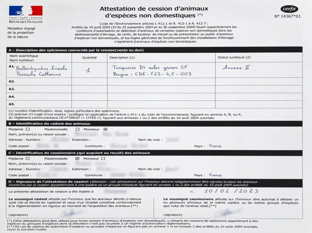 Exemple attestation de cession d'une perruche catherine trouvée - Bird and You