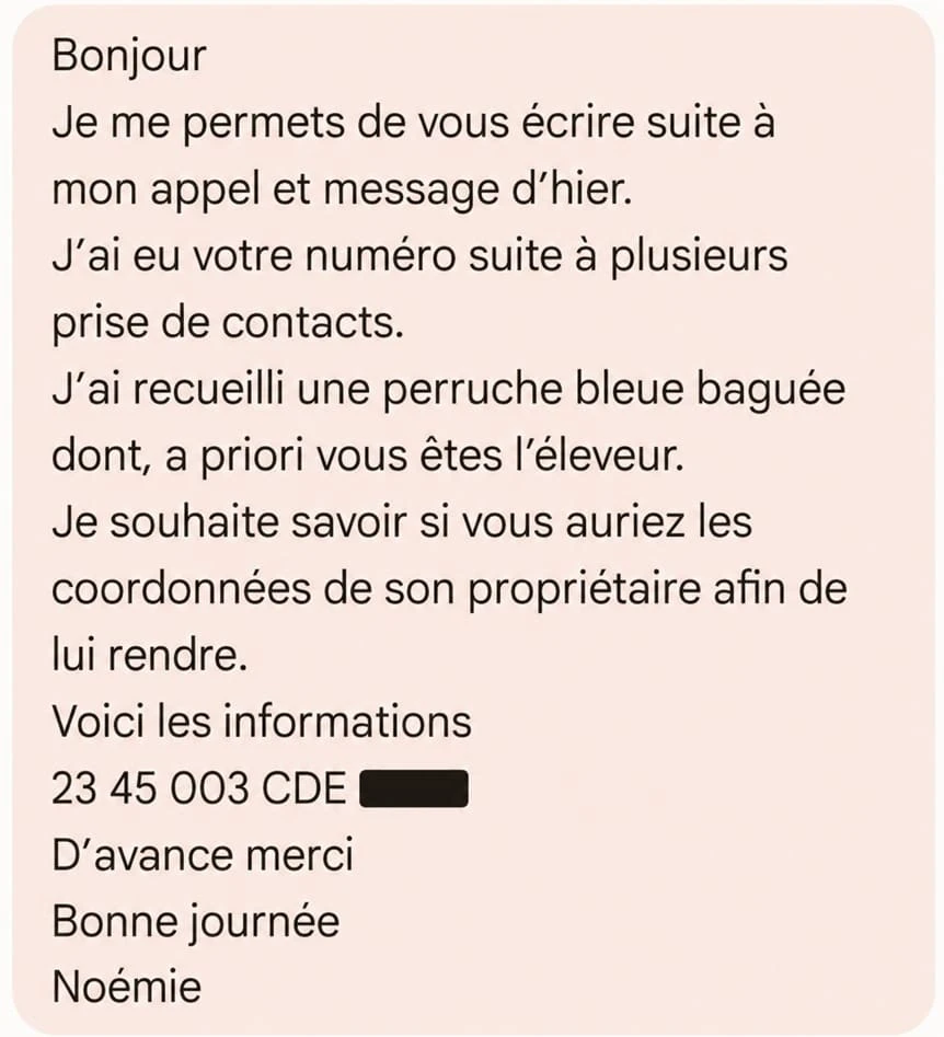 SMS reçu de la part de Noémie pour trouver le propriétaire de la perruche qu'elle a trouvée grâce à son numéro de bague