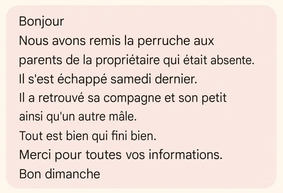 SMS confirmant qu'une perruche Catherine retrouvée a pu rentrer chez sa propriétaire et retrouver sa famille.